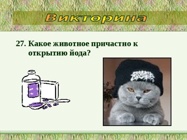 27. Какое животное причастно к открытию йода?  