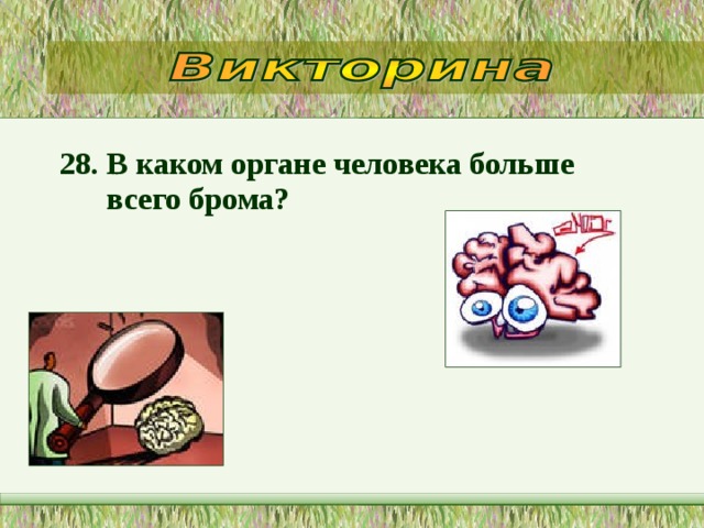 28. В каком органе человека больше всего брома?  