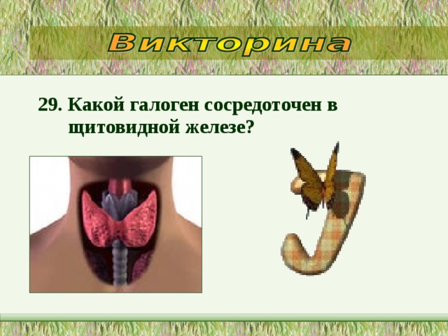 29. Какой галоген сосредоточен в щитовидной железе?  