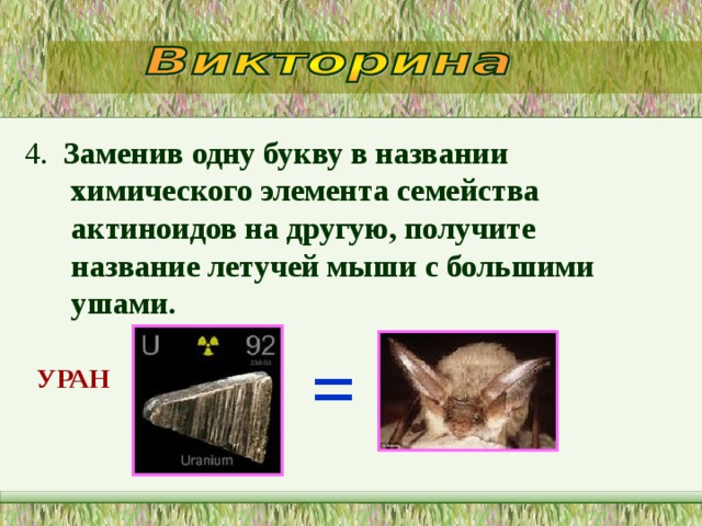 4. Заменив одну букву в названии химического элемента семейства актиноидов на другую, получите название летучей мыши с большими ушами.  = УРАН  