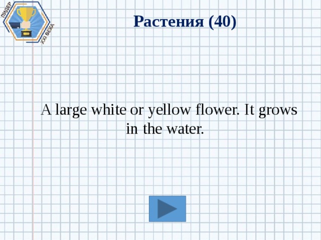 Растения (40)  A large white or yellow flower. It grows in the water. 