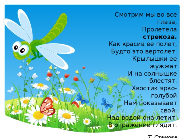 Смотрим мы во все глаза, Пролетела стрекоза. Как красив ее полет, Будто это вертолет. Крылышки ее жужжат И на солнышке блестят. Хвостик ярко-голубой Нам показывает свой. Над водой она летит, В отражение глядит. Т. Стамова 