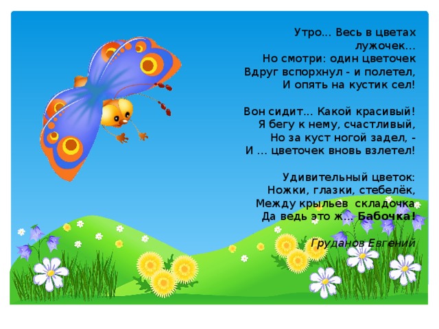 Утро... Весь в цветах лужочек… Но смотри: один цветочек Вдруг вспорхнул - и полетел, И опять на кустик сел! Вон сидит... Какой красивый! Я бегу к нему, счастливый, Но за куст ногой задел, - И ... цветочек вновь взлетел! Удивительный цветок: Ножки, глазки, стебелёк, Между крыльев складочка Да ведь это ж... Бабочка! Груданов Евгений 