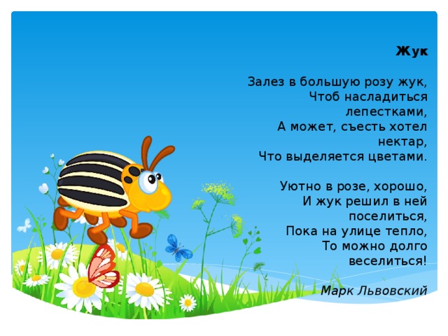 Жук Залез в большую розу жук, Чтоб насладиться лепестками, А может, съесть хотел нектар, Что выделяется цветами. Уютно в розе, хорошо, И жук решил в ней поселиться, Пока на улице тепло, То можно долго веселиться! Марк Львовский 