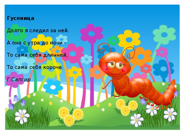 Гусеница Долго я следил за ней. А она с утра до ночи - То сама себя длинней, То сама себя короче. Г.Сапгир 