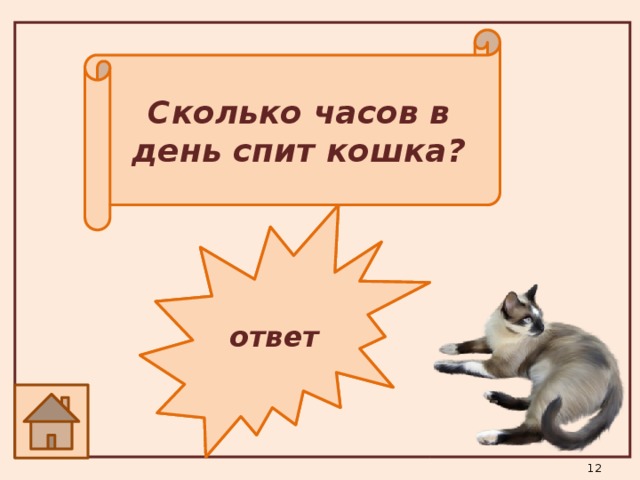Сколько спят коты