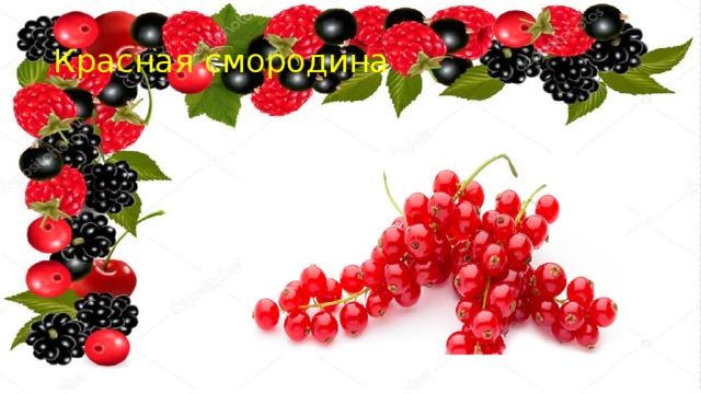 Красная смородина 