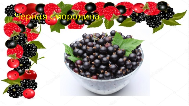Черная смородина 