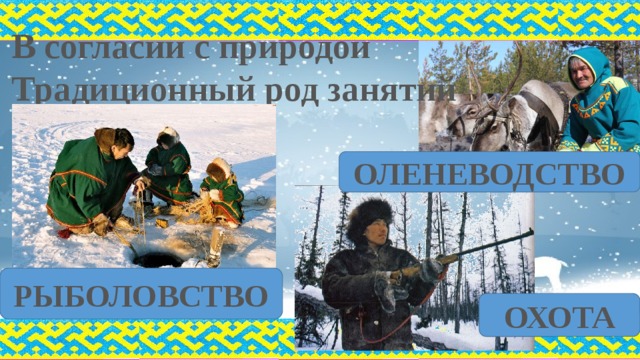 В согласии с природой  Традиционный род занятий ОЛЕНЕВОДСТВО РЫБОЛОВСТВО ОХОТА 