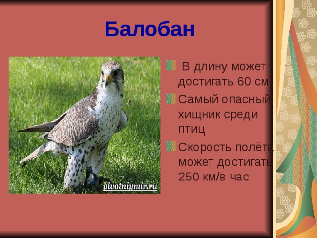 Как выглядит красная книга самарской области