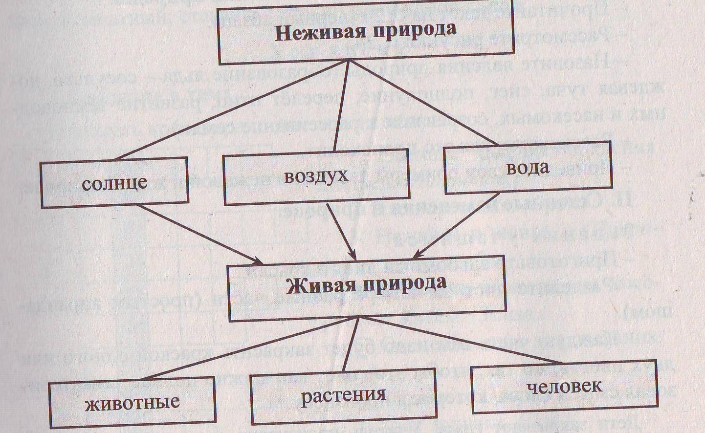 Окружающего мира схема