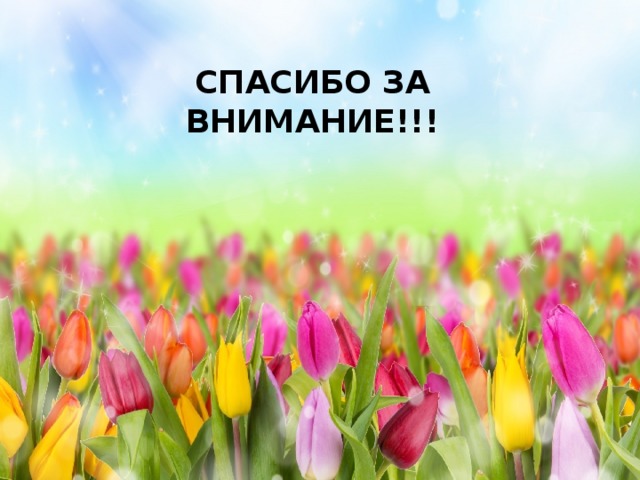 СПАСИБО ЗА ВНИМАНИЕ!!! 
