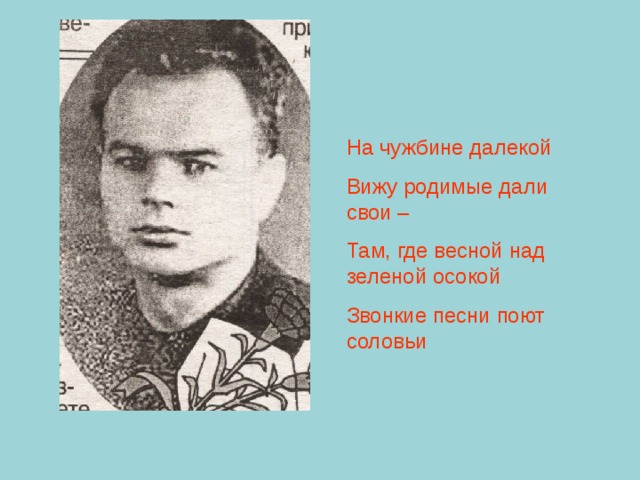 Родные дали