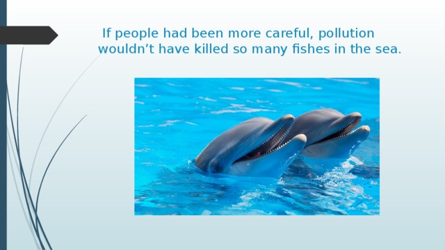  If people had been more careful, pollution wouldn’t have killed so many fishes in the sea. 