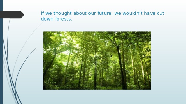 If we thought about our future, we wouldn’t have cut down forests. 