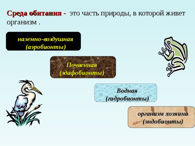 Среда обитания - это часть природы, в которой живет организм .    наземно-воздушная (аэробионты)   Почвенная (эдафобионты)  Водная (гидробионты)  организм хозяина (эндобионты)  