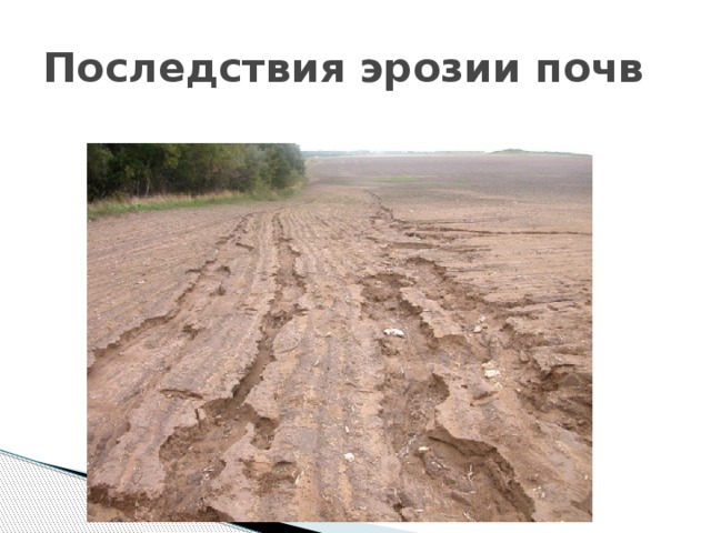 Последствия эрозии почв 