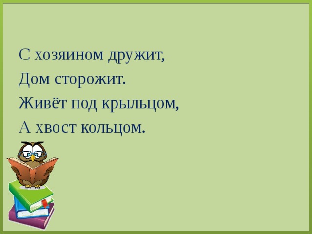 С хозяином дружит, Дом сторожит. Живёт под крыльцом, А хвост кольцом. 