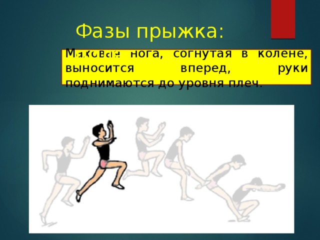 Фазы прыжка: полет Маховая нога, согнутая в колене, выносится вперед, руки поднимаются до уровня плеч. 