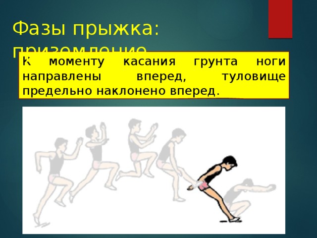 Фазы прыжка: приземление К моменту касания грунта ноги направлены вперед, туловище предельно наклонено вперед. 