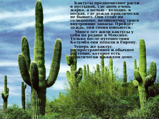  Кактусы предпочитают расти в пустынях, где днем очень жарко, а ночью - холодно, в песках, где дождя практически не бывает. Они стоят на солнцепеке, потихонечку тратя внутренние запасы. Пройдет дождь, они снова напьются.  Много лет жили кактусы у себя на родине в Мексике. Только после путешествия Колумба они попали в Европу.  Теперь же кактус распространённое и обычное растение, которое есть практически в каждом доме.  