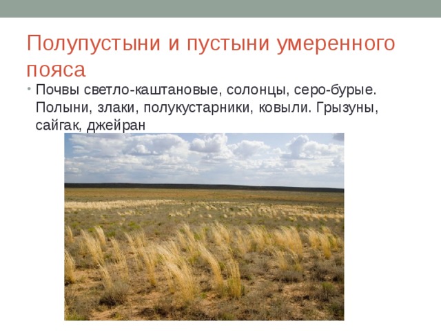 Климат зоны полупустыни и пустыни России. Какие почвы характерны для зоны полупустынь
