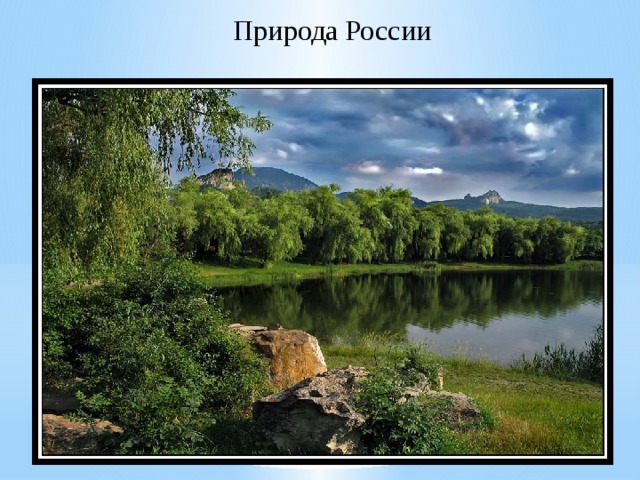  Природа России 