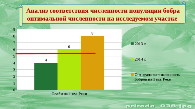 Количество команд ограничено. Диаграмма численность Бобров. Численность Бобров. Оптимальная численность. Соответствие численности.