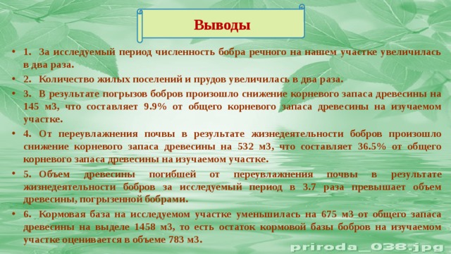 Исследуемого периода. Численность Бобров. Состав древостоя заключение. Вывод по популяции изучения природного материала. Причины увеличения популяции Бобров.