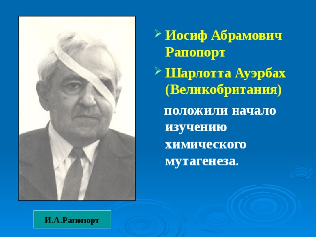 Иосиф Абрамович Рапопорт Шарлотта Ауэрбах  (Великобритания)  положили начало изучению химического мутагенеза. И.А.Рапопорт 