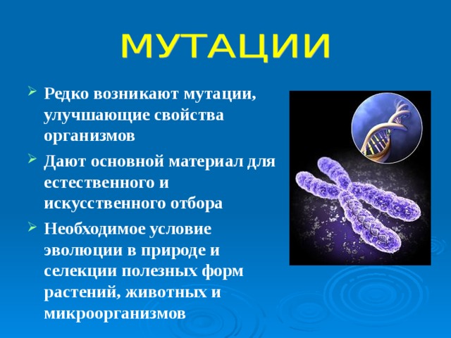 Редко возникают мутации, улучшающие свойства организмов Дают основной материал для естественного и искусственного отбора Необходимое условие эволюции в природе и селекции полезных форм растений, животных и микроорганизмов 