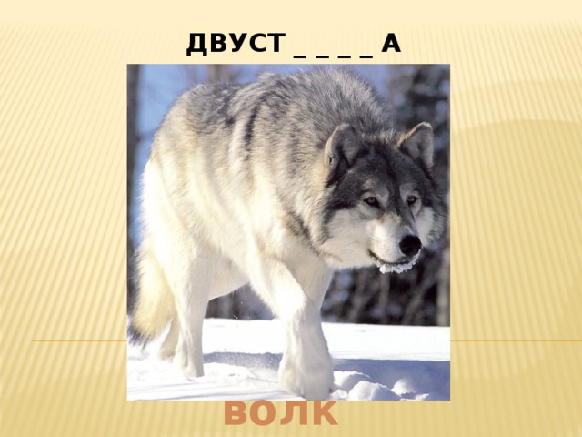 ДВУСТ _ _ _ _ А     (охотничье ружьё) волк   