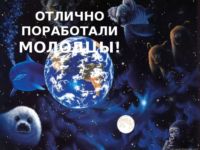 ОТЛИЧНО ПОРАБОТАЛИ МОЛОДЦЫ! 