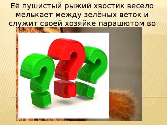 Её пушистый рыжий хвостик весело мелькает между зелёных веток и служит своей хозяйке парашютом во время прыжков. 