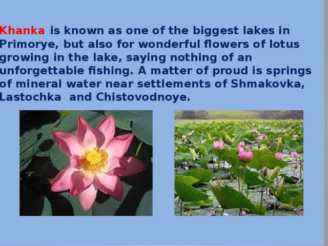 Khanka  is known as one of the biggest lakes in Primorye, but also for wonderful flowers of lotus growing in the lake, saying nothing of an unforgettable fishing. A matter of proud is springs of mineral water near settlements of Shmakovka, Lastochka and Chistovodnoye. 