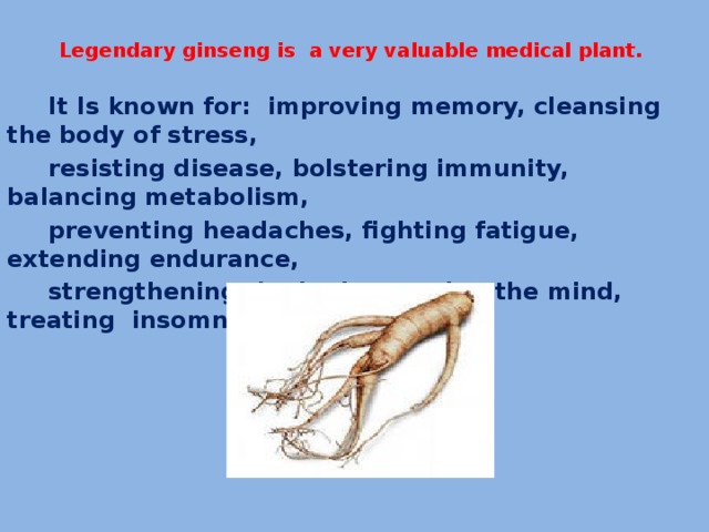  Legendary ginseng is a very valuable medical plant.    It Is known for: improving memory, cleansing the body of stress,  resisting disease, bolstering immunity, balancing metabolism,  preventing headaches, fighting fatigue, extending endurance,  strengthening the body, opening the mind, treating insomnia. 