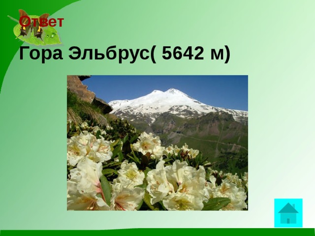    Ответ   Гора Эльбрус( 5642 м)     