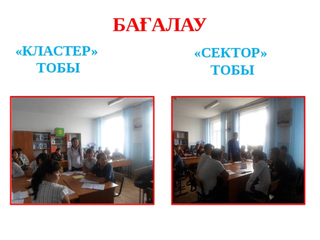 БАҒАЛАУ «КЛАСТЕР» ТОБЫ «СЕКТОР» ТОБЫ 