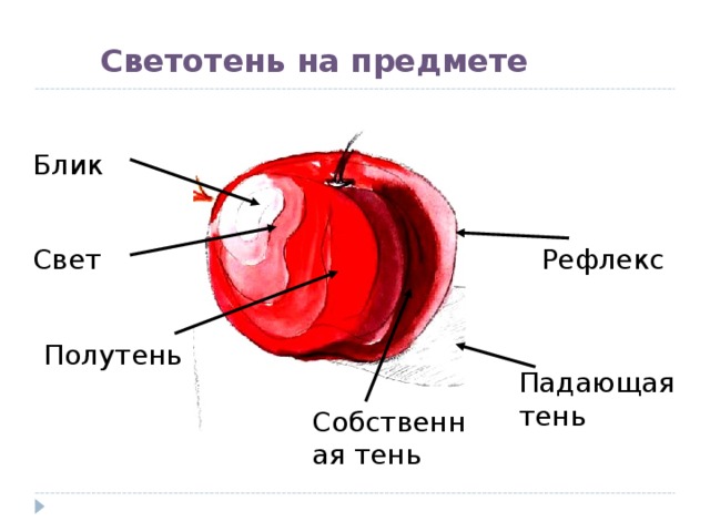 Блик свет тень полутень рефлекс блик в рисунке