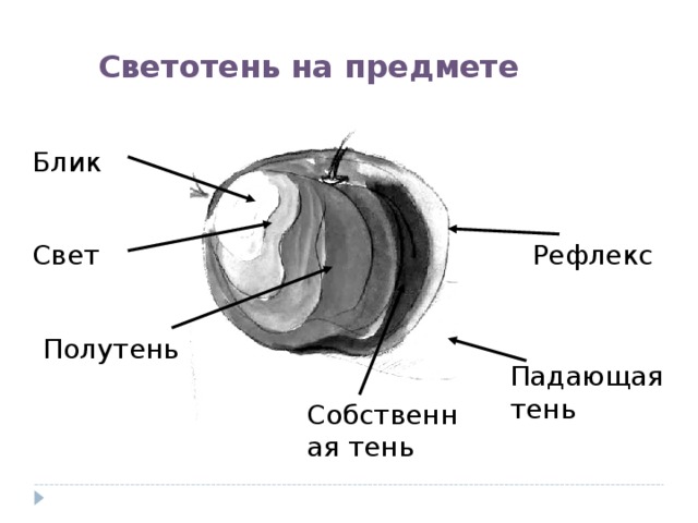 Светотень на предмете. Свет тень полутень рефлекс блик в рисунке. Блик тень полутень рефлекс в рисунке. Шар тень полутень блик рефлекс. Свет полутон тень рефлекс.