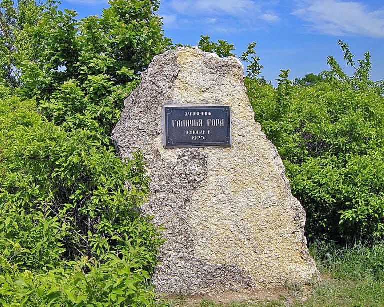 Галичий заповедник. Галичья гора заповедник. Липецк заповедник Галичья гора. Морозова гора Липецкая область. Галичья гора заповедник эмблема.