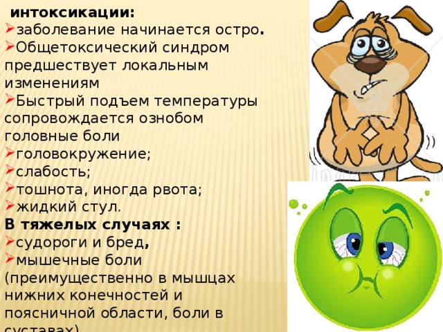  интоксикации: заболевание начинается остро . Общетоксический синдром предшествует локальным изменениям Быстрый подъем температуры сопровождается ознобом головные боли головокружение; слабость; тошнота, иногда рвота; жидкий стул. В тяжелых случаях : судороги и бред ,  мышечные боли (преимущественно в мышцах нижних конечностей и поясничной области, боли в суставах). 