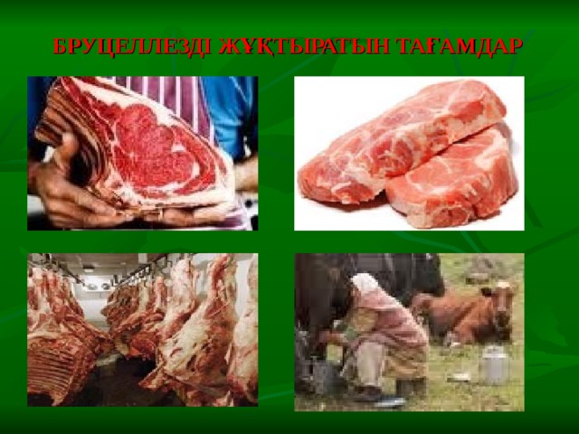 БРУЦЕЛЛЕЗДІ ЖҰҚТЫРАТЫН ТАҒАМДАР 