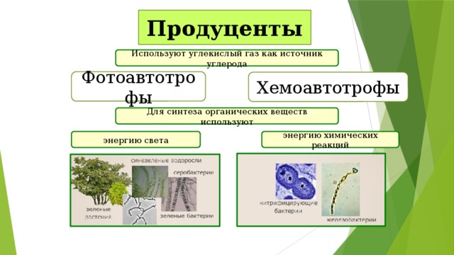 Укажите номер обозначающий на схеме вещество являющееся источником углерода для синтезируемых орг