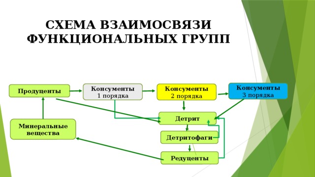 Схема продуценты редуценты