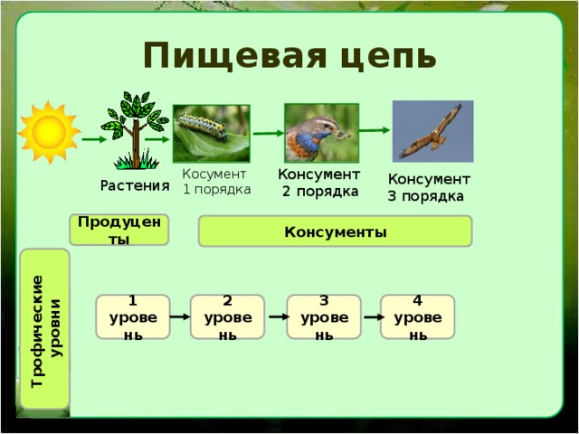 Цепи питания черного