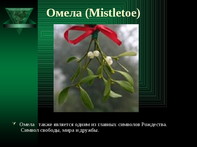 Омела (Mistletoe) Омела также является одним из главных символов Рождества.  Символ свободы, мира и дружбы.  