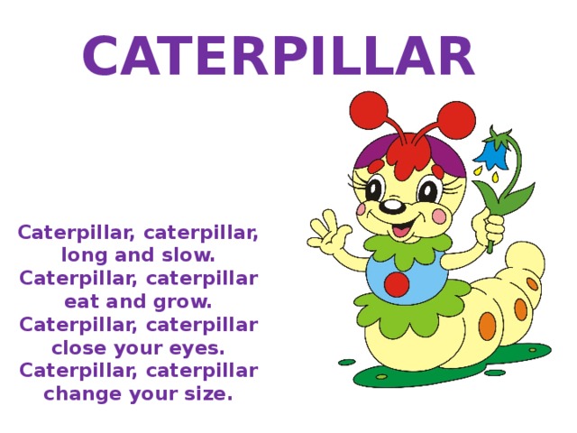 CATERPILLAR Caterpillar, caterpillar, long and slow. Caterpillar, caterpillar eat and grow. Caterpillar, caterpillar close your eyes. Caterpillar, caterpillar change your size. 