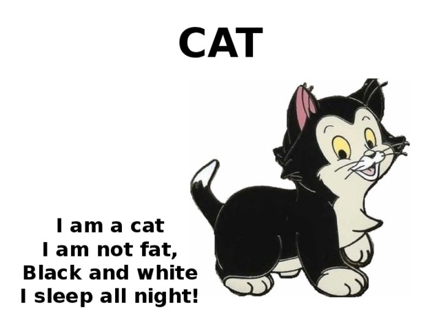 CAT I am a cat I am not fat, Black and white I sleep all night! 