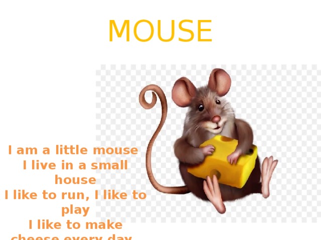 MOUSE I am a little mouse I live in a small house I like to run, I like to play I like to make cheese every day. 